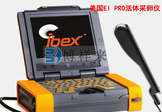 兽用B超活体采卵仪Ibex Pro​